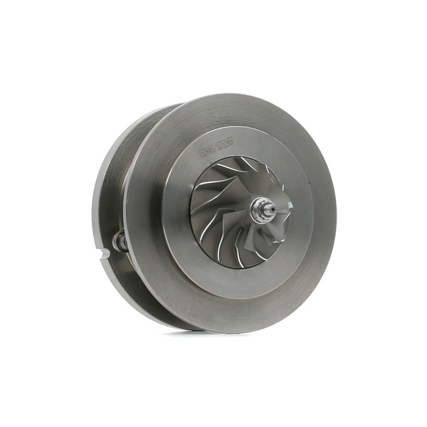 Rumpfgruppe Turbolader 4973C0050 HYUNDAI SANTA FE von RIDEX