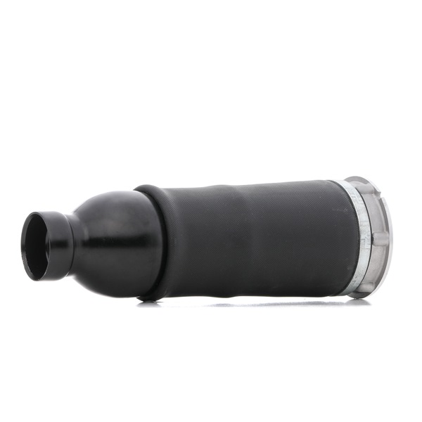 Osta Ilmajousi RIDEX:llä 4119A0045 edullisesti hintaan 194,41 €