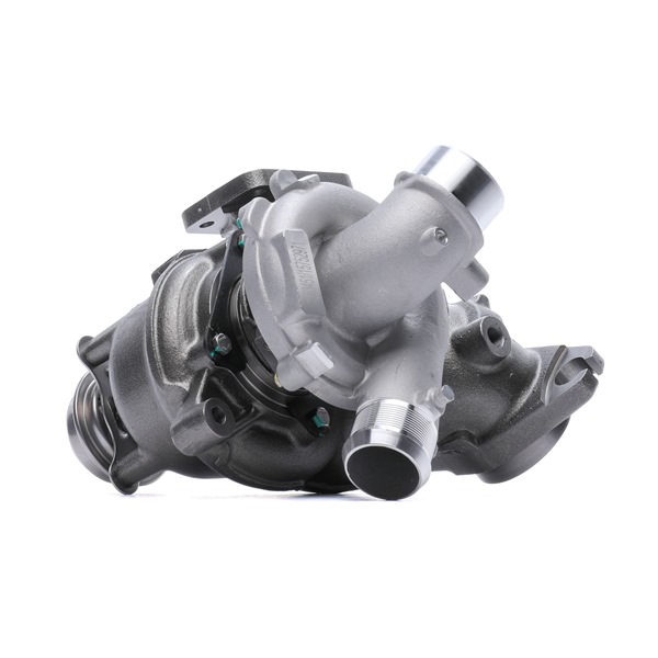 Original RIDEX Turbolader online kaufen
