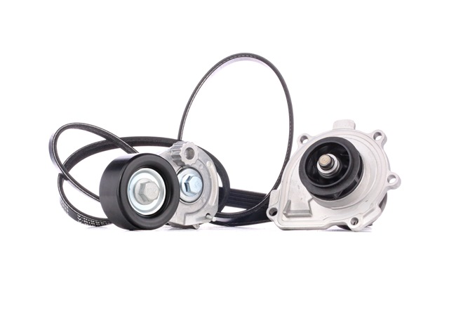 Achetez des Pompe à eau+Jeu de courroie trapézoïdale à nervures STARK SKPRB-5160025 à prix pour 95,28 €