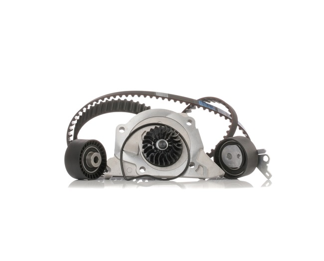 Achetez des Kit de distribution + pompe à eau STARK SKWPT-0750308 à prix pour 66,46 €