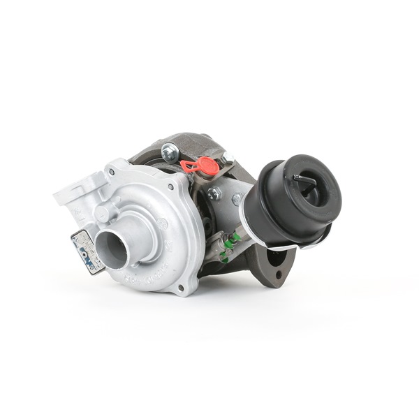 Achetez des Turbocompresseur RIDEX REMAN 2234C0313R à prix pour 385,80 €