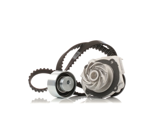 Achetez des Kit de distribution + pompe à eau RIDEX 3096W0315 à prix pour 83,57 €