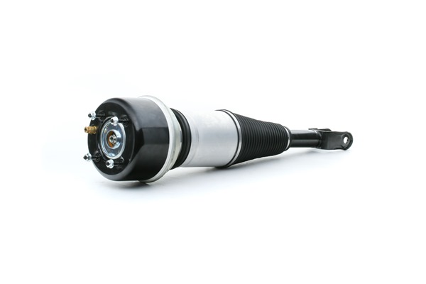 Osta Ilmajousijalka RIDEX:llä 4118A0059 edullisesti hintaan 829,74 €