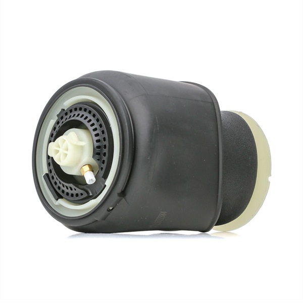 Osta Ilmajousi RIDEX:llä 4119A0050 edullisesti hintaan 312,86 €