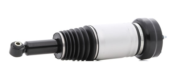 Osta Ilmajousijalka RIDEX:llä 4118A0064 edullisesti hintaan 911,59 €