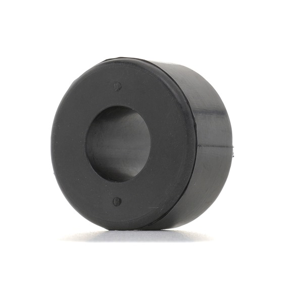 Lagerung, Lenker 251T0669