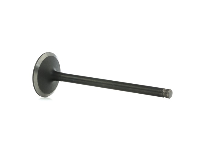 Osta Imuventtiili RIDEX:llä 1269I0013 edullisesti hintaan 5,54 €