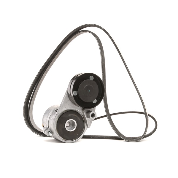 Acquista Kit cinghia servizi da RIDEX online per A4 Cabrio (8H7, B6, 8HE, B7) a prezzi moderati
