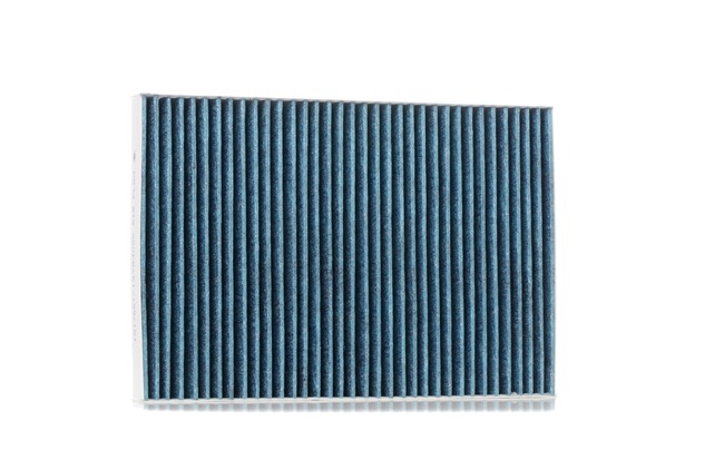 RIDEX 424I0499 Filtre d'habitacle CHRYSLER Voyager / Grand Voyager 3 (GS)