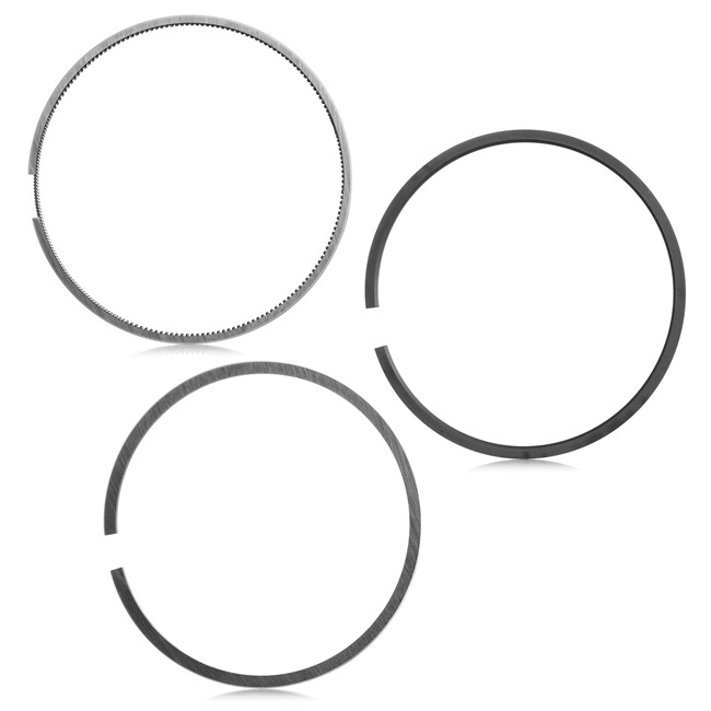 Compre Jogo de segmentos do êmbolo da RIDEX 444P0030 a um preço baixo por 23,79 €