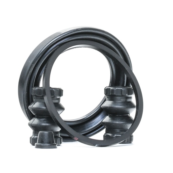 Compre Kit de reparación de pinzas de freno de RIDEX online para Clase C Sedán (W203) a precios moderados