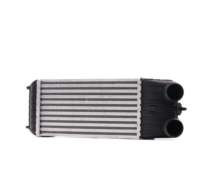 Köp Intercooler av RIDEX 468I0139 till det låga priset 971,67 kr