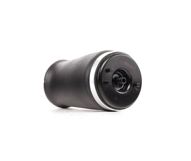 Luftfederbein 4118A0065 von RIDEX günstig für 115,85 € online kaufen