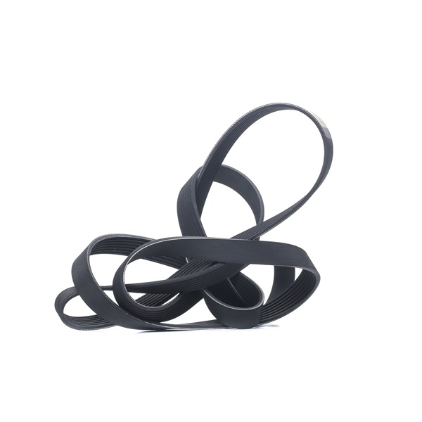 Acquista Cinghia servizi da RIDEX 305P0469 a buon mercato per soli 22,35 €