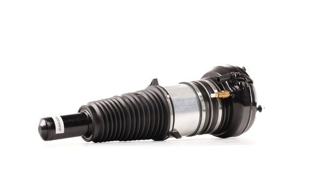 Luftfederbein 4118A0066
