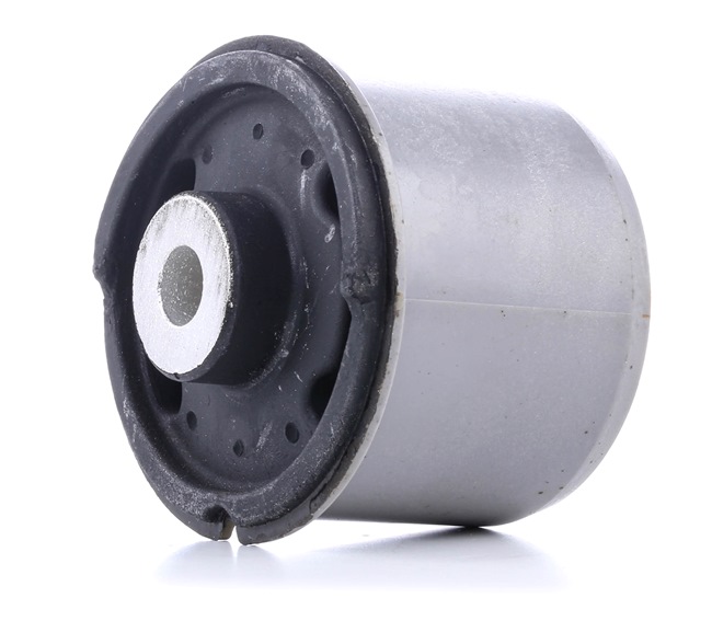 Compre Suspensão, corpo do eixo da RIDEX 1080M0078 a um preço baixo por 11,81 €