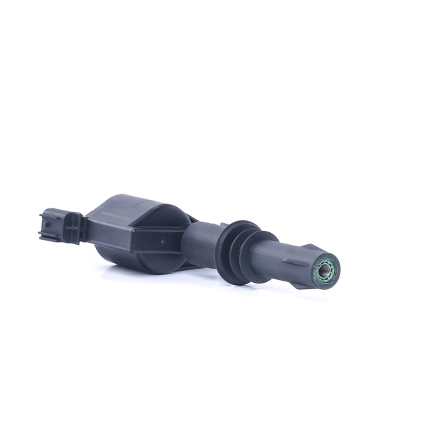 Zündspule 689C0387