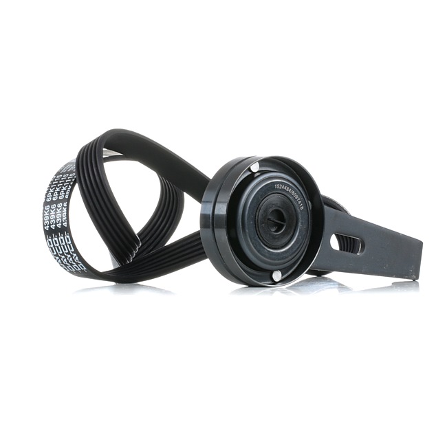Comprar Juego de correas trapeciales poli V de RIDEX 542R0539 a bajo precio de 45,79 €