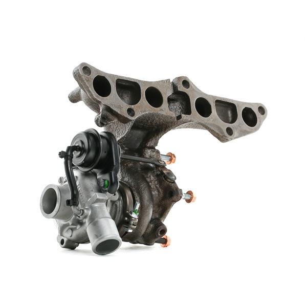 Osta Turboahdin RIDEX REMAN:llä 2234C0363R edullisesti hintaan 443,90 €