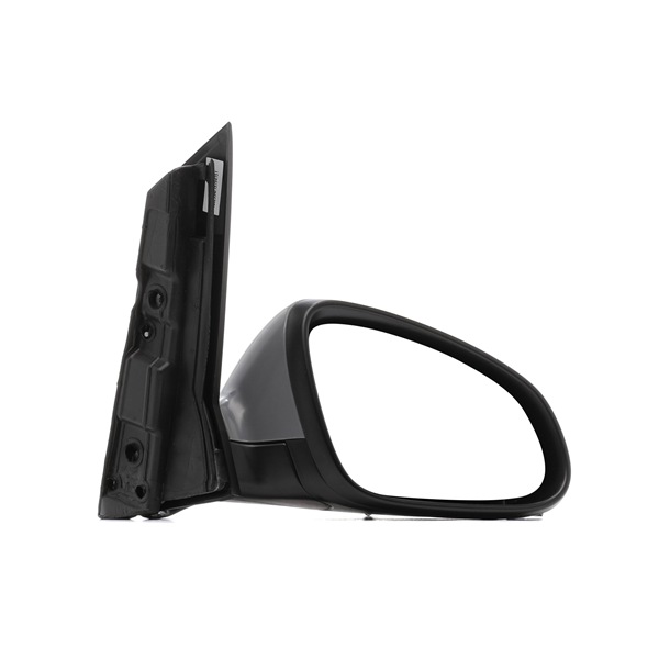 Compre Espelho retrovisor da RIDEX 50O0795 a um preço baixo por 56,43 €