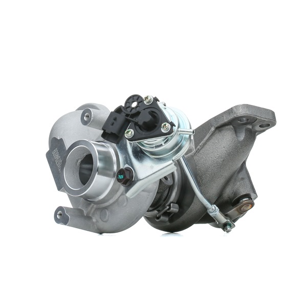 Turbolader 2234C10087 PEUGEOT 301 von RIDEX