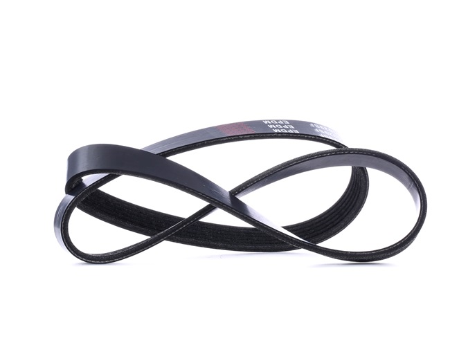 Keilrippenriemen 305P0471 von RIDEX günstig für 10,66 € online kaufen