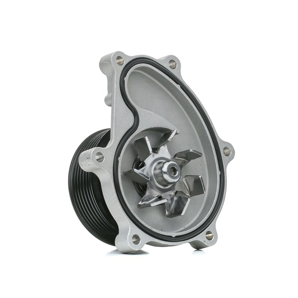 Osta Vesipumppu RIDEX:llä 1260W0408 edullisesti hintaan 99,69 €