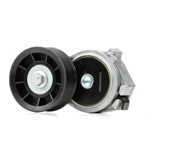 Compre Rolo tensor, correia trapezoidal estriada da RIDEX 310T0374 a um preço baixo por 103,04 €