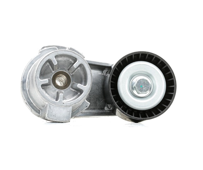 Compre Rolo tensor, correia trapezoidal estriada de RIDEX online para B4 Cabriolet (F33) a preços moderados