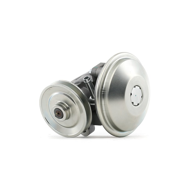 Osta Alipainepumppu, jarrujärjestelmä RIDEX:llä 387V0079 edullisesti hintaan 165,70 €