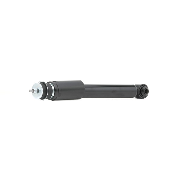 Stoßdämpfer 854S17913