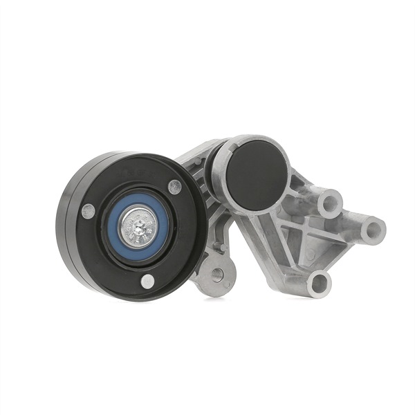 Compre Rolo tensor, correia trapezoidal estriada da RIDEX 310T0379 a um preço baixo por 44,41 €