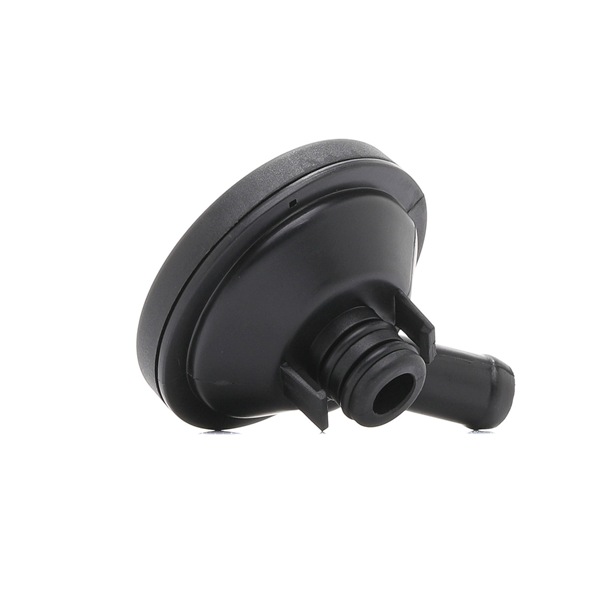 RIDEX 3886V0062 Sistema de respiro do motor RENAULT GRAND SCÉNIC