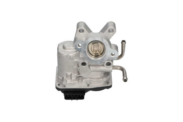 Comprar Válvula EGR de KAVO PARTS EEG-8005 a bajo precio de 180,84 €
