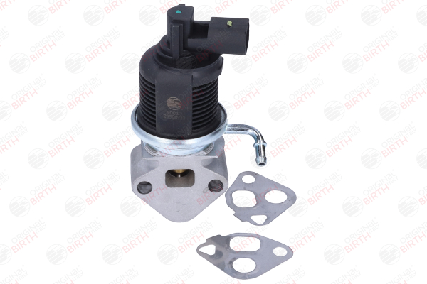 Acquista Valvola EGR da BIRTH 90013 a buon mercato per soli 169,66 €