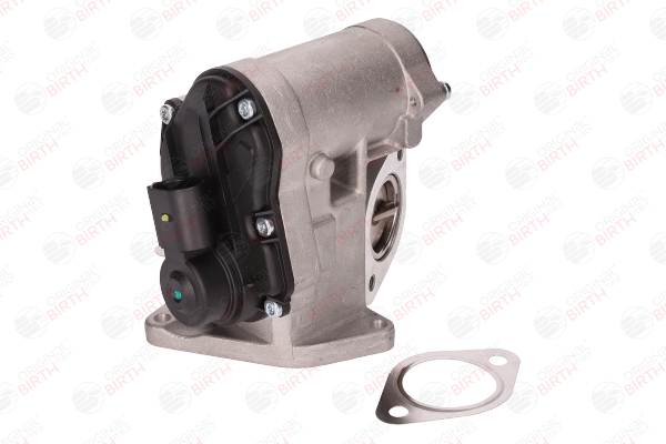 Acquista Valvola EGR da BIRTH 90029 a buon mercato per soli 252,66 €