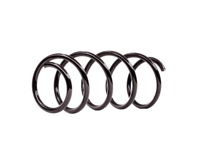 DACO Germany Fahrwerksfeder 802721 online kaufen