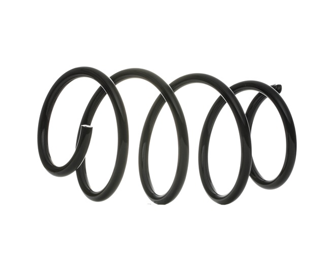 DACO Germany Fahrwerksfeder 803043 online kaufen