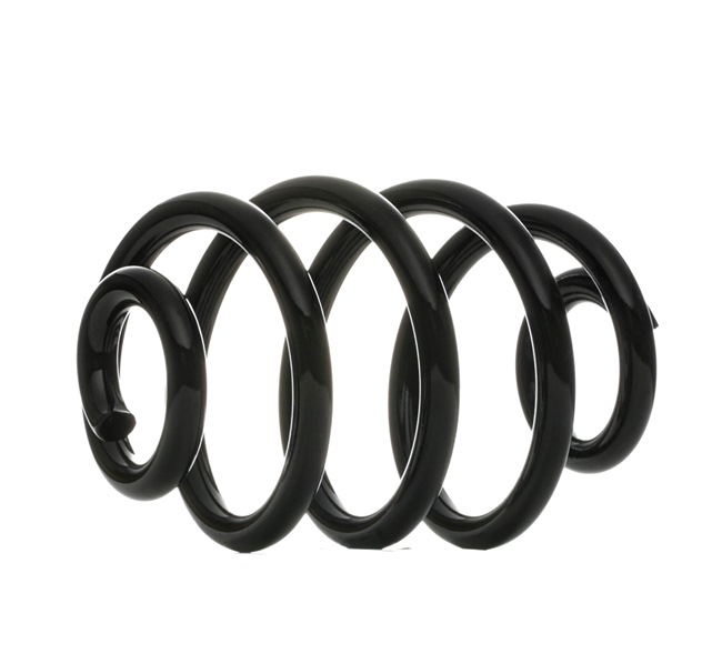 DACO Germany Fahrwerksfeder 810303 online kaufen