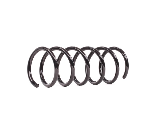 DACO Germany Fahrwerksfeder 810930 online kaufen