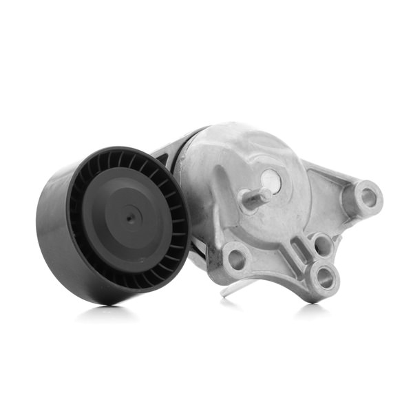 Compre Rolo tensor, correia trapezoidal estriada da RIDEX 310T0389 a um preço baixo por 55,50 €