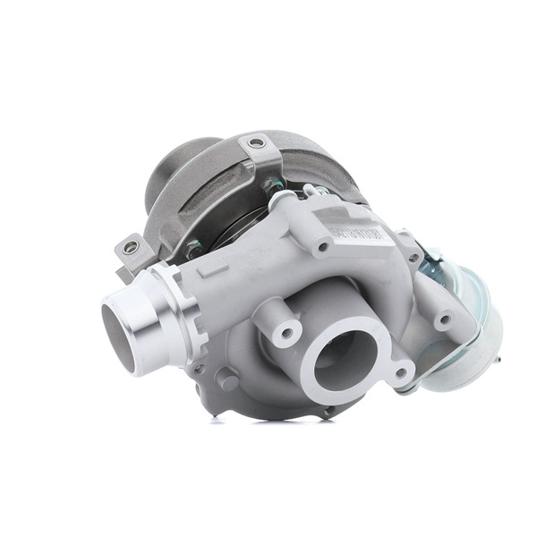 Turbolader 2234C10154 NISSAN PULSAR von RIDEX