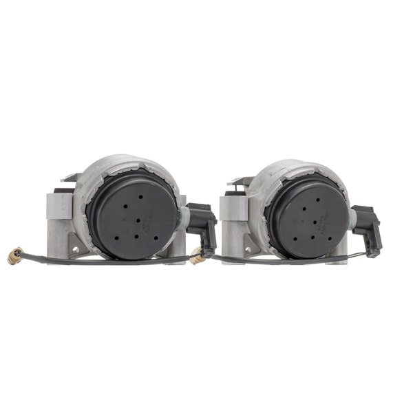 Achetez des Support moteur de chez RIDEX en ligne pour A6 C7 Allroad (4GH, 4GJ) à prix modérés