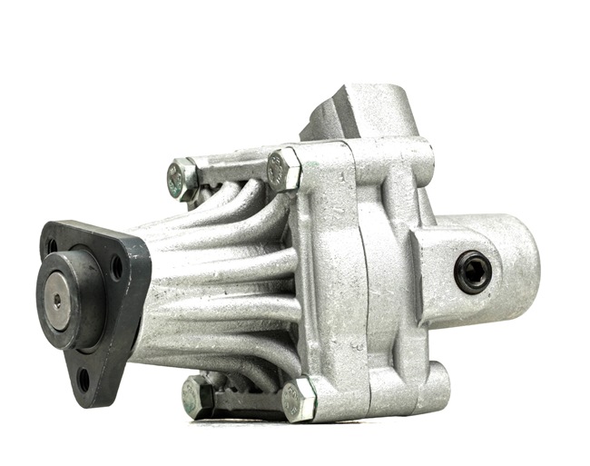 Achetez des Pompe de direction assistée RIDEX 12H0263 à prix pour 64,94 €