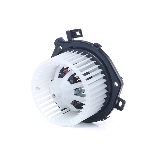 Achetez des Pulseur d'air habitacle RIDEX 2669I0209 à prix pour 75,36 €