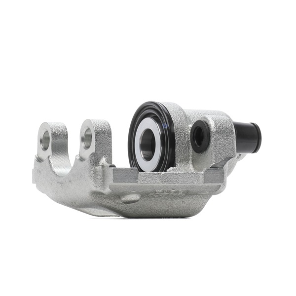 Online Shop für Bremssattel von RIDEX EAN: 4064138393454