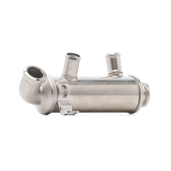 Acquista Modulo EGR da RIDEX 4198E0036 a buon mercato per soli 78,36 €