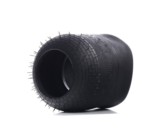 Osta Ilmajousi RIDEX:llä 4119A0059 edullisesti hintaan 46,11 €