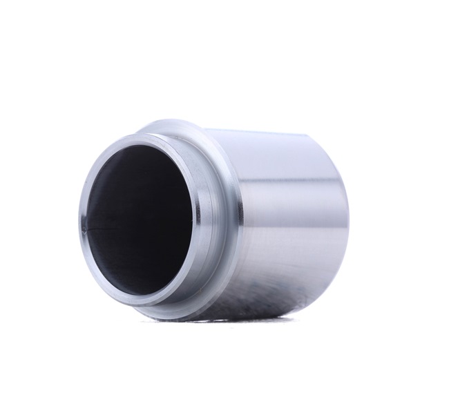 Comprar Émbolo, pinza del freno de RIDEX 2248P0040 a bajo precio de 12,03 €